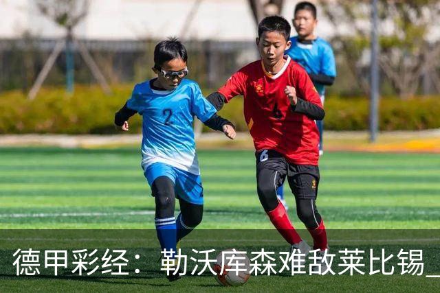 德甲彩经：勒沃库森难敌莱比锡 霍芬海姆客场失分